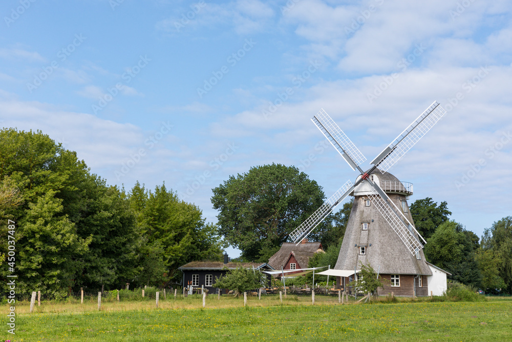 Obraz premium Historic windmill at Ahrenshoop, Mecklenburg-Vorpommern, Germany