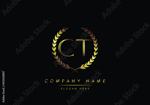 Alphabet letters CT monogram logo, gold color, luxury style