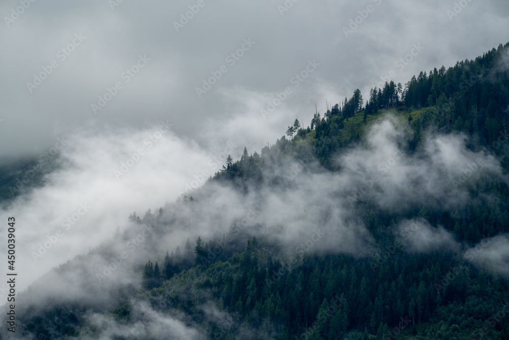 low hanging clouds in the mountains at a summer day