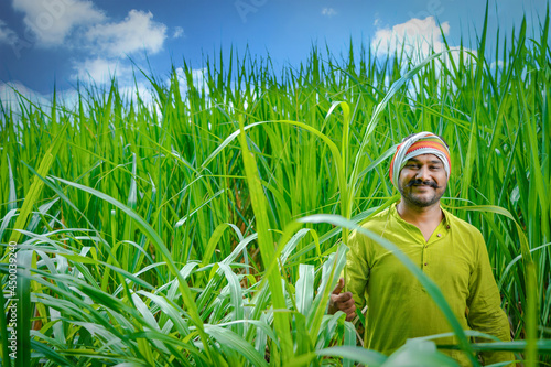 indian farmer at sugarcane field