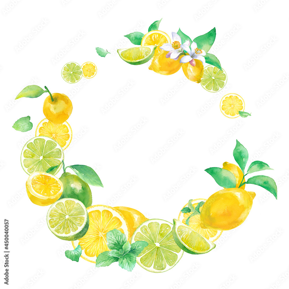 爽やかなシトラスとミントの水彩イラスト 円形装飾フレームデザイン レモンとライム Stock Illustration Adobe Stock 爽やかなシトラスとミントの水彩イラスト 円形装飾フレームデザイン レモンとライム Stock Illustration Adobe Stock