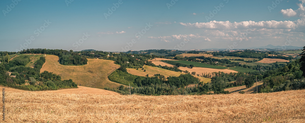 harvested wheat fields and woods on the hills of the Pesaro and Urbino province, Marche, Italy.