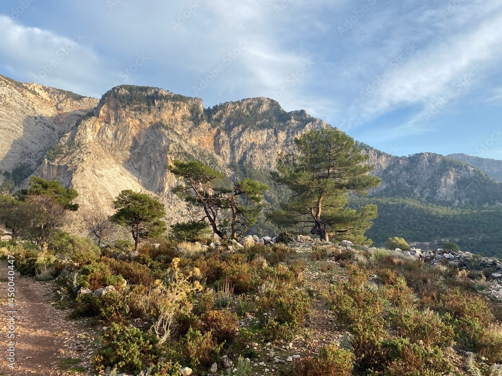 Ascent from Oludeniz . Lycian way. Turkey