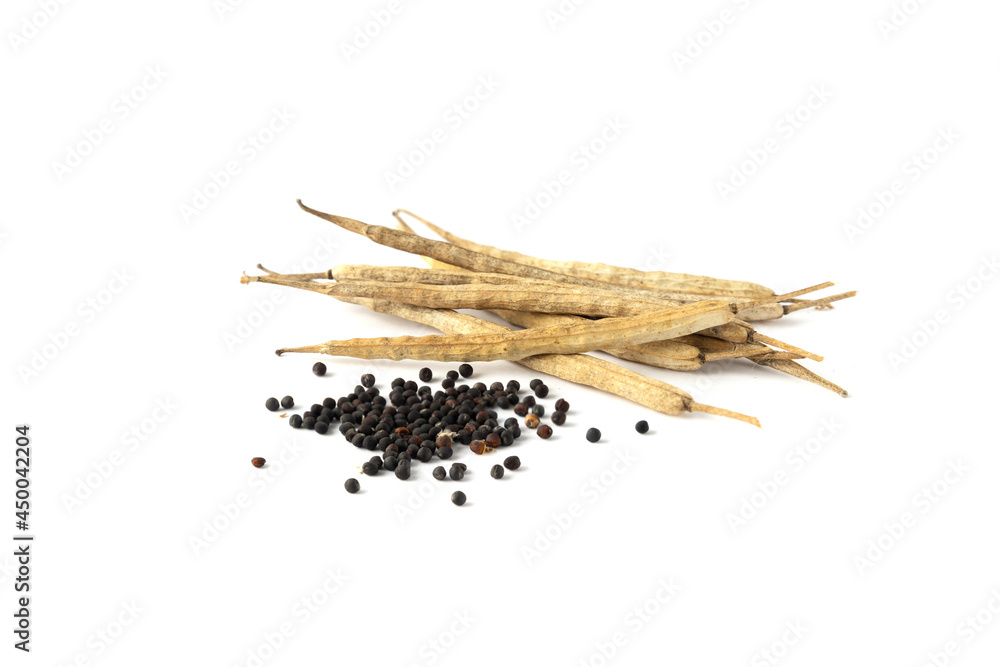 Ταπετσαρία Closeup of canola seeds and dried pods of it on the white background