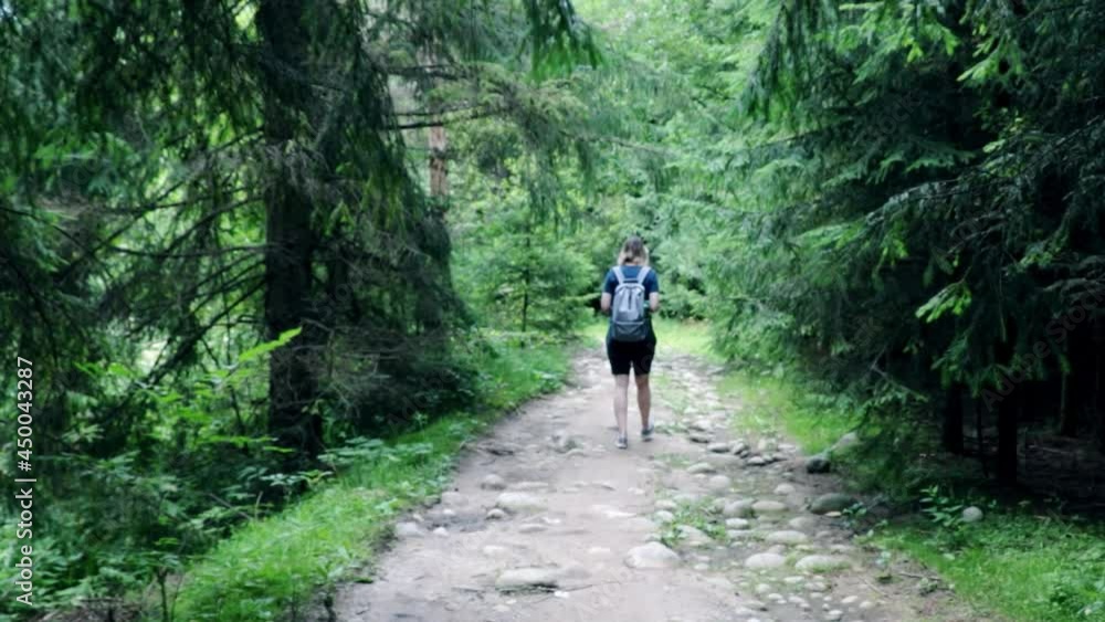 Out of focus. Blurry background. A girl walks through the forest in a mountainous area, a traveler Out of focus. Blurry background. A girl walks through the forest in a mountainous area, a traveler