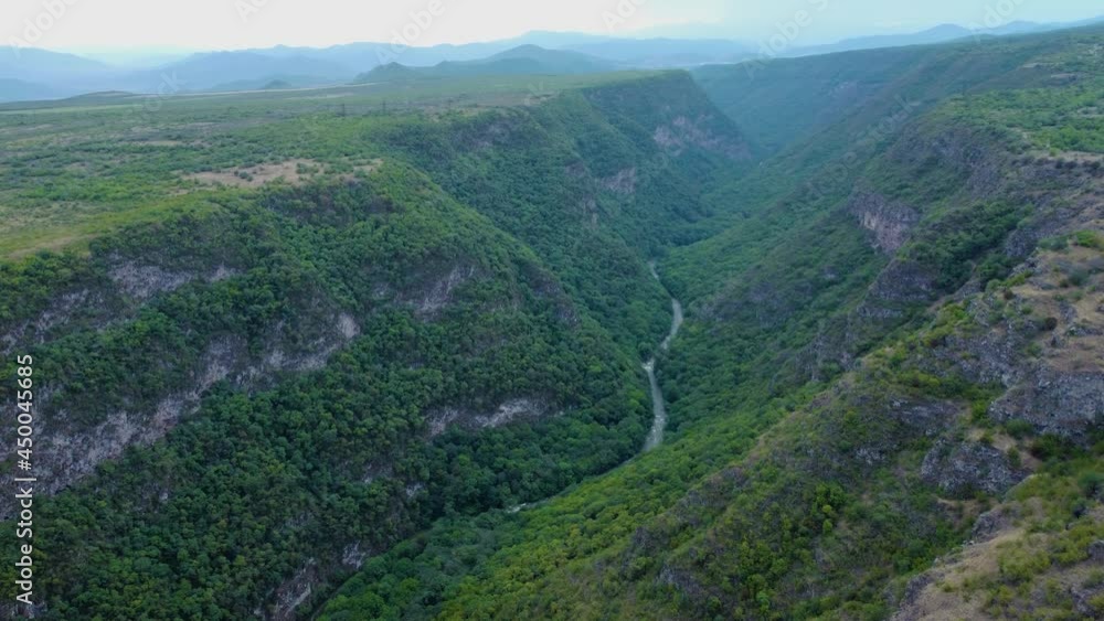 Forest and river canyon aerial view
