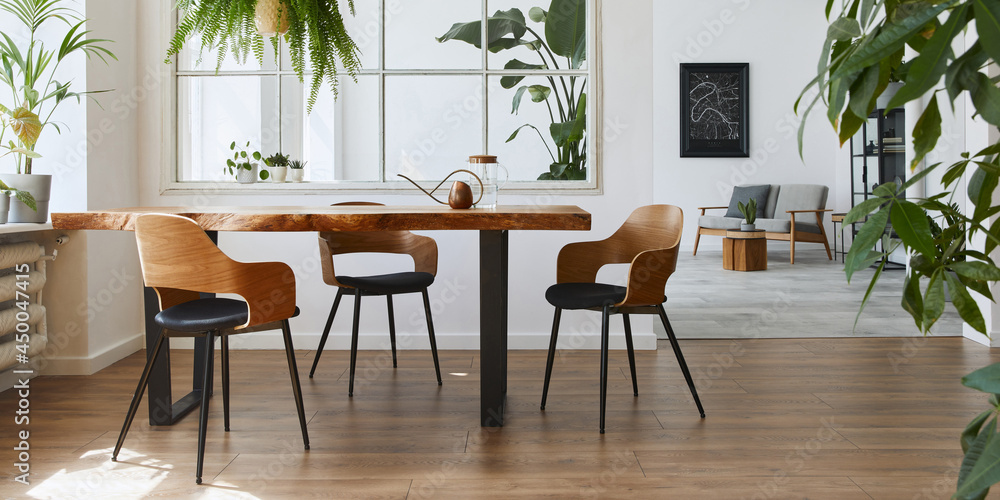 Stylish and botany interior of dining room with design craft wooden table, chairs, a lof of plants, big window, poster map and elegant accessories in modern home decor. Template.