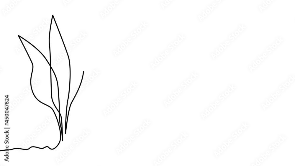 A continuous line of sprout, plant self-draws. Growth and development concept, ecology. A continuous line of sprout, plant self-draws. Growth and development concept, ecology.