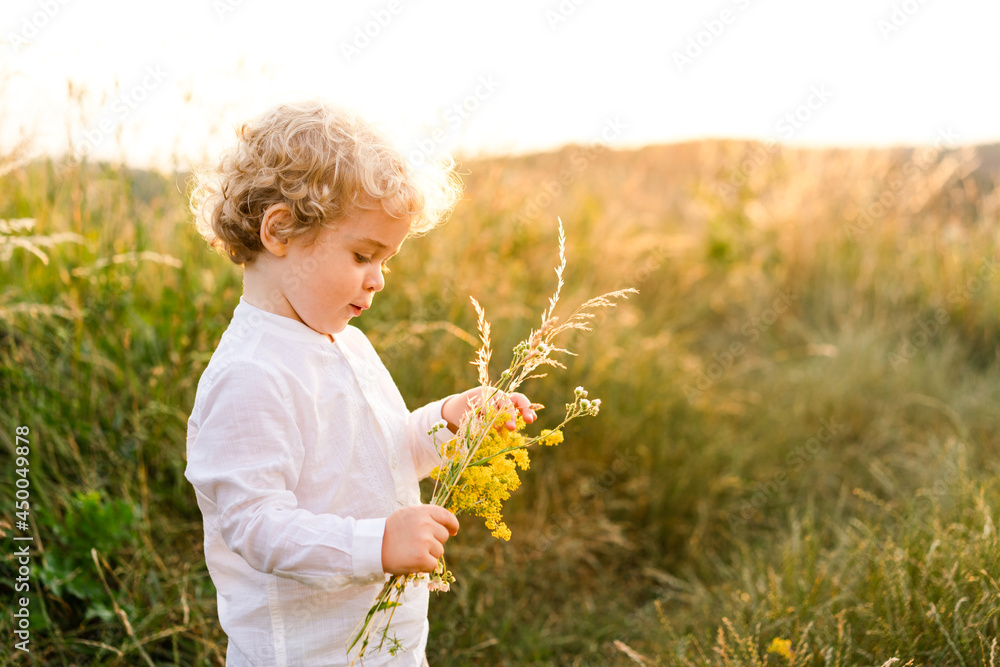 Handsome little boy with blond curly hair collects a bouquet of wildflowers in nature Handsome little boy with blond curly hair collects a bouquet of wildflowers in nature