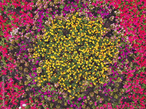 Colorful decorative flower bed from top view.