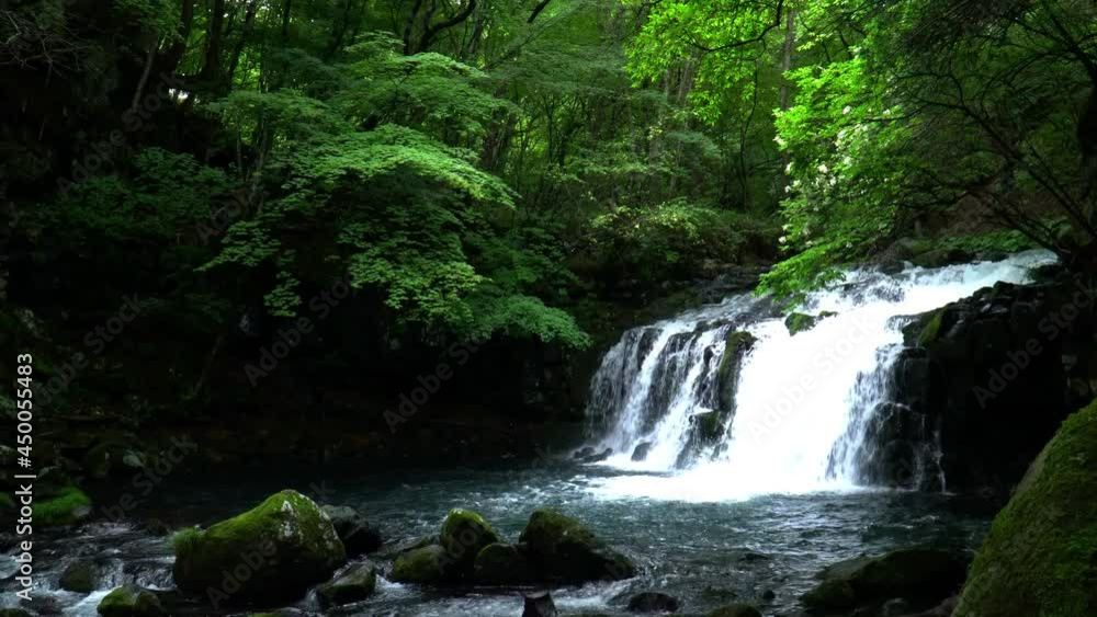 夏の蓼科大滝 夏の蓼科大滝