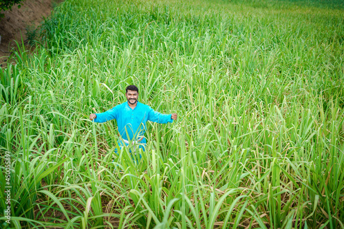 Young Indian farmer spreading his hands in the sugarcane field (4)