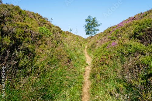 Fotografia Narrow old drovers trail across Lawrence Field in Derbyshire