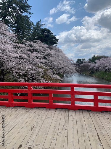 弘前城 弘前公園 桜 日本三大桜名所 日本三大夜桜 青森県