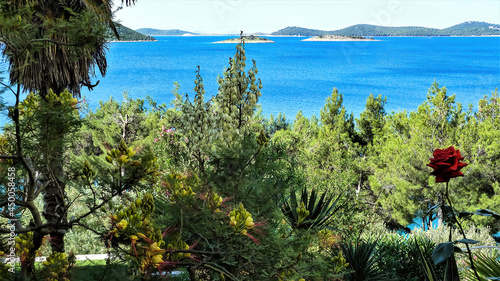 View over mixed typical mediterranean plants on bay with islands - Drage  Pakostane   Croatia
