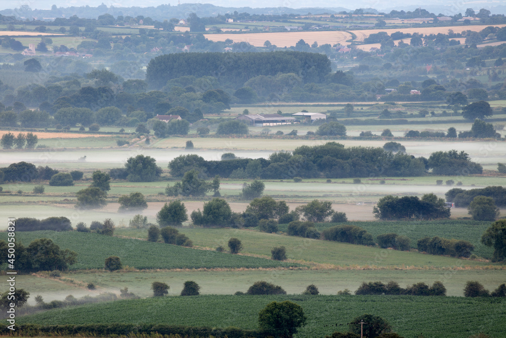 Fototapeta premium Early morning mist over farmland on the Somerset Levels, Dundon, Somerset, England, United Kingdom, Europe