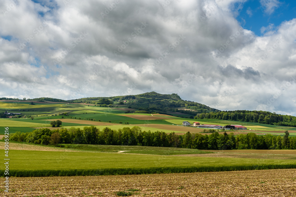 Fototapeta premium Hegaulandschaft mit Blick zum Hohenstoffeln, Landkreis Konstanz, Baden-Württemberg, Deutschland