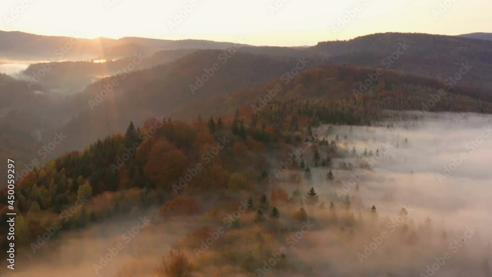 aerial view of misty foggy morning autumn mountains with the clouds floating through the pine forest trees at the beams of rising sun
aerial view of misty foggy morning autumn mountains with the clouds floating through the pine forest trees at the beams of rising sun