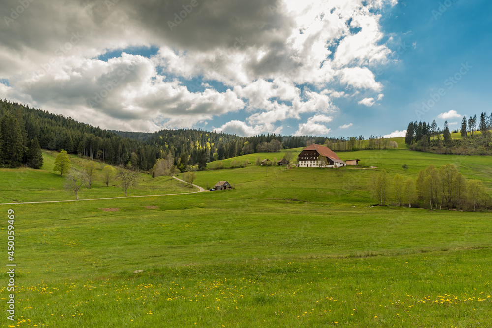 Bauernhof im Schwarzwald, umgeben von grünen Wiesen und Wald, Jostal bei Titisee-Neustadt, Baden-Württemberg, Deutschland