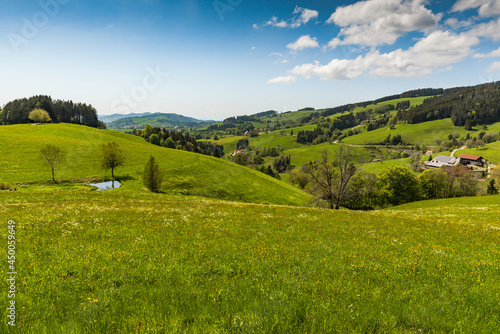 Hüglige Landschaft im Schwarzwald mit verstreut liegenden Bauernhöfen, Baden-Württemberg, Deutschland