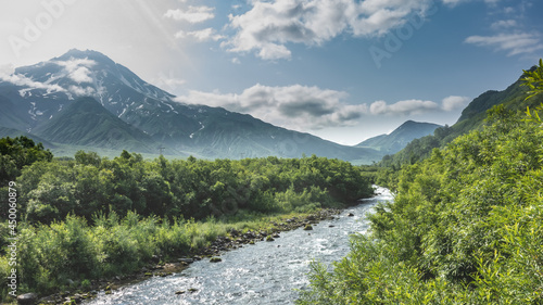 A mountain river flows along a rocky bed. Lush green vegetation stretches along the banks. Volcanoes rise against the background of a blue sky with clouds. Snow on the slopes. A sunny day. Kamchatka