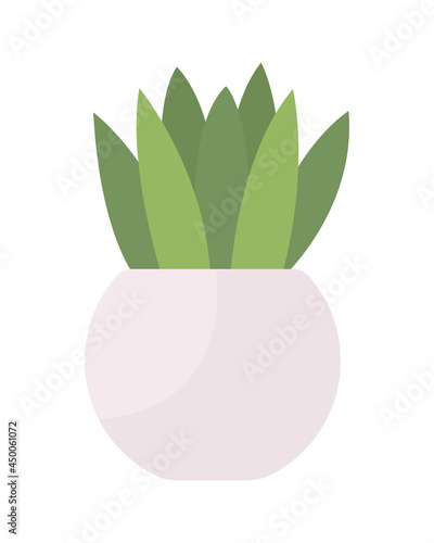 Small tabletop plant semi flat color vector object. Potted houseplant. Full sized item on white. Office table decoration isolated modern cartoon style illustration for graphic design and animation