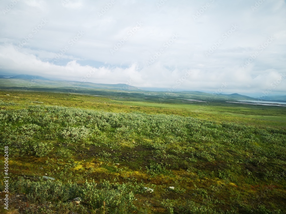 Obraz premium field and blue sky with clouds