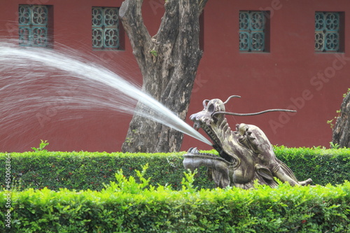 dragon spitting water photo