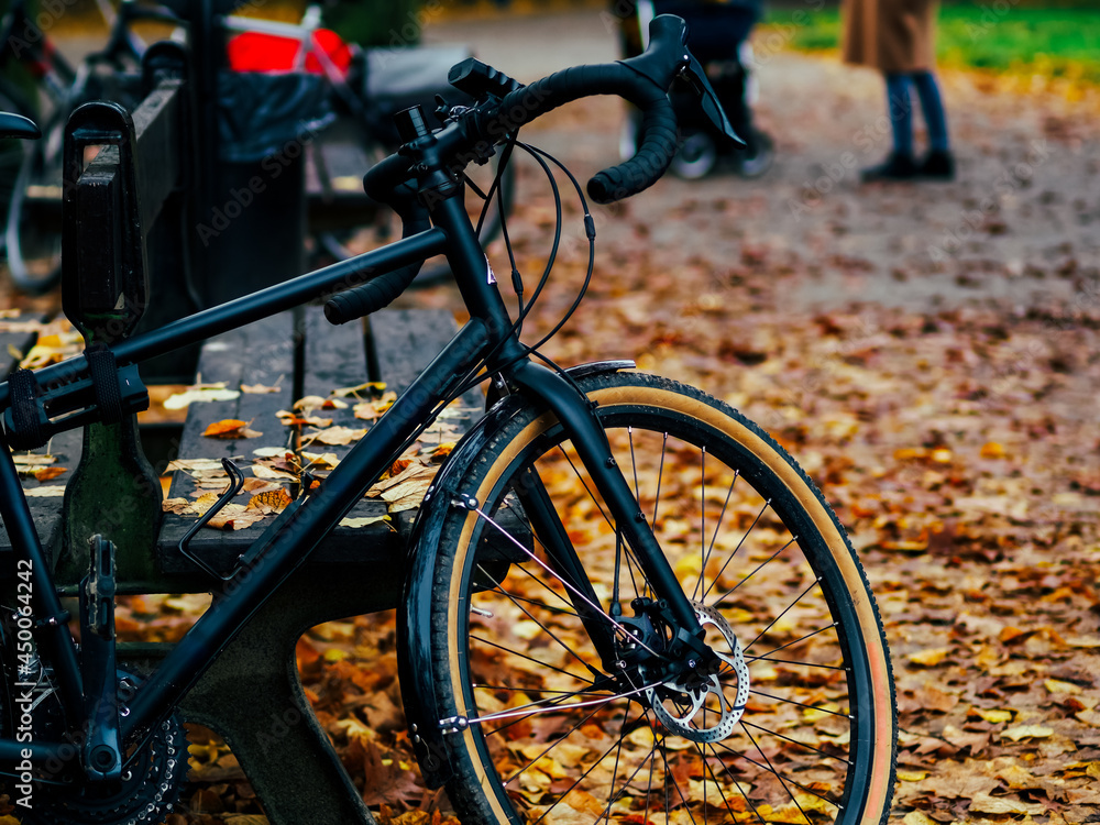 Fototapeta premium black bicycle parked in the colorful fall park among trees