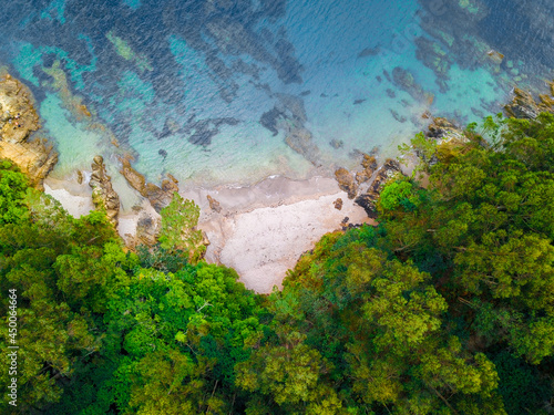 Aerial drone vertical view of a forest meeting the turquoise water of the sea.