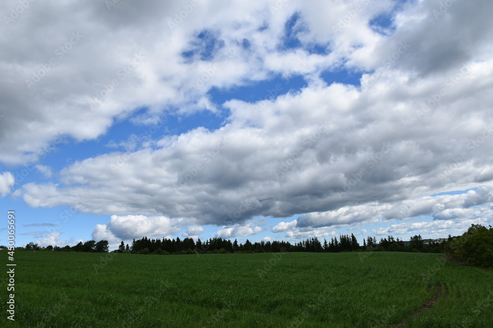 Fototapeta premium A field under a cloudy sky, Sainte-Apolline, Québec, Canada