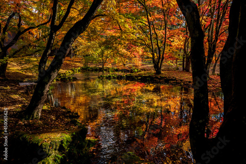 軽井沢の紅葉。雲場池。