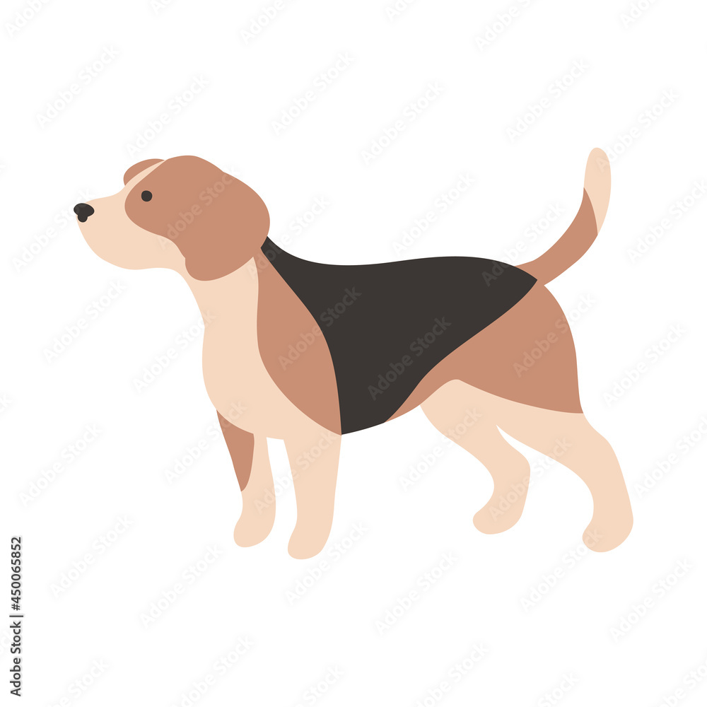 Isolated vector illustration of a Beagle dog Isolated vector illustration of a Beagle dog