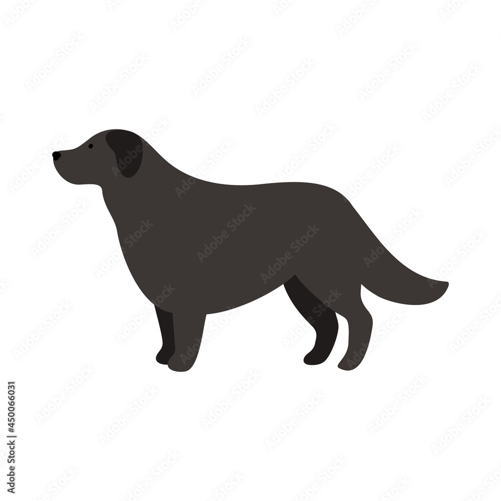 Isolated vector illustration of a Newfoundland dog