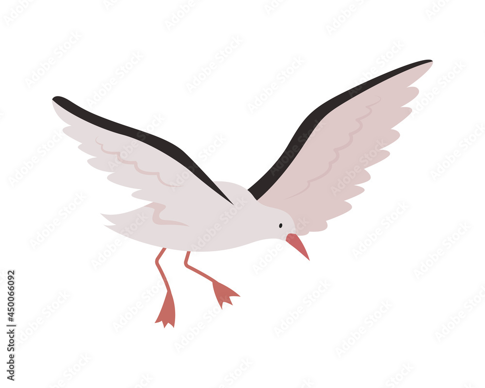 Flying seagull semi flat color vector character. Marine animal. Bird with spread wings. Full body animal on white. Seabird isolated modern cartoon style illustration for graphic design and animation