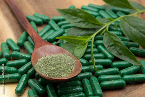 Leaf Green chiretta and Green chiretta powder and green capsule and a wooden spoon on a wooden background. Andrographis paniculata. photo