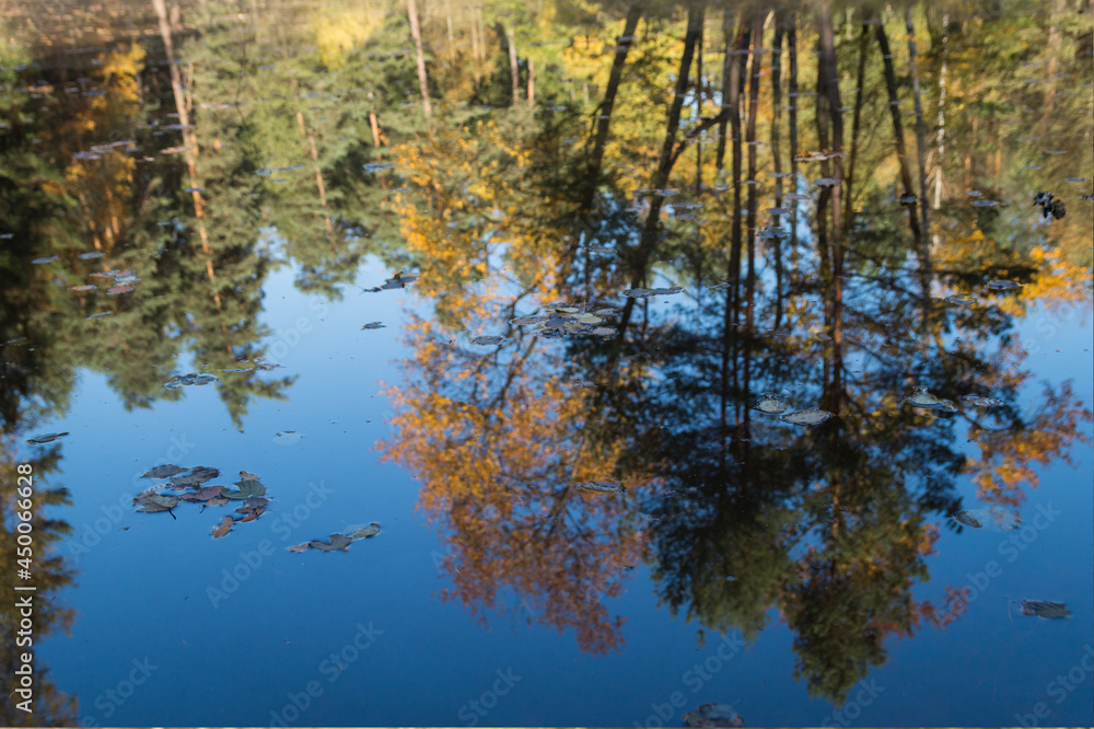 magical autumn reflection of trees and blue sky in a remote forest lake