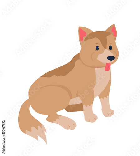 Mixed-breed dog adoption semi flat color vector character. Full body animal on white. Rescuing mongrel puppy isolated modern cartoon style illustration for graphic design and animation