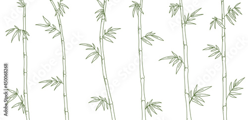 Fototapeta Naklejka Na Ścianę i Meble -  Bamboo forest background. Bamboos or bambusa plant. Bambos green leaves and stalk. Vector color Illustration. Open paths. Editable stroke.