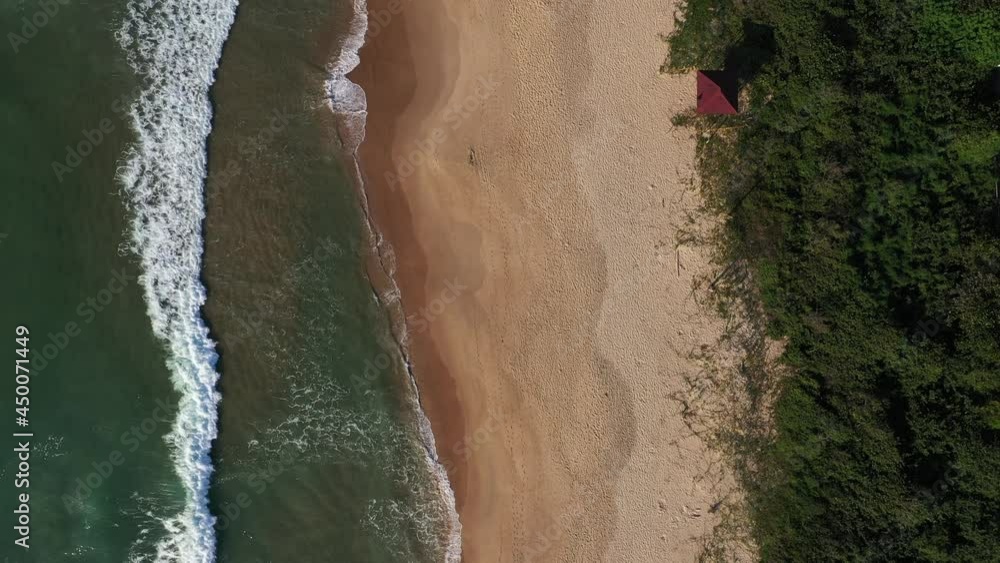 Aerial view of Brava beach with preservation area, Itajaí, Brazil Aerial view of Brava beach with preservation area, Itajaí, Brazil