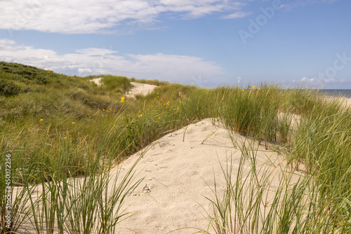 Sand dunes and dune grass by the sea 