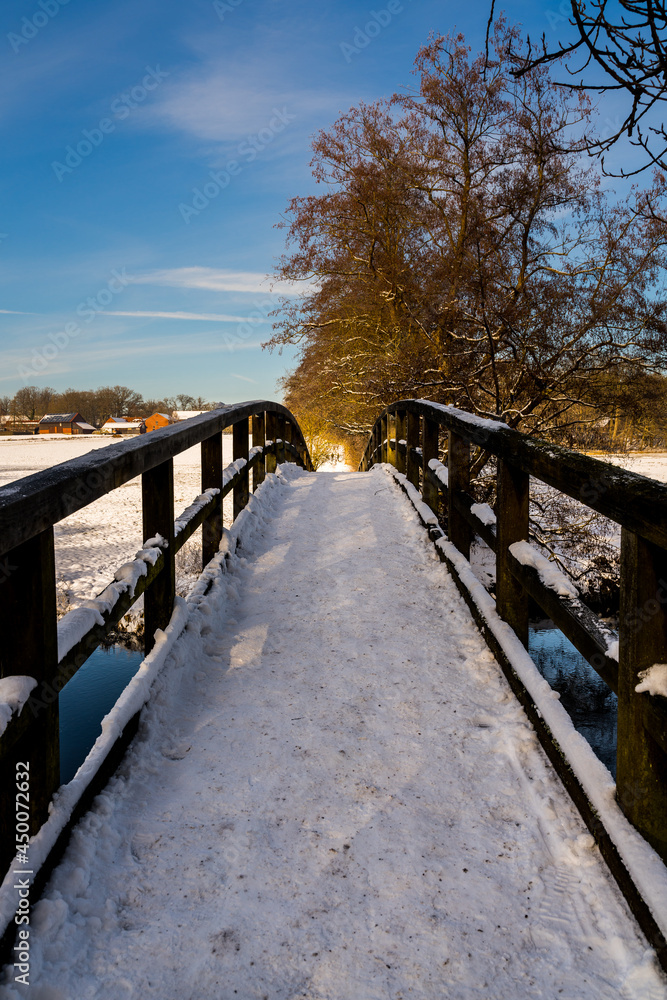 Naklejka premium snow