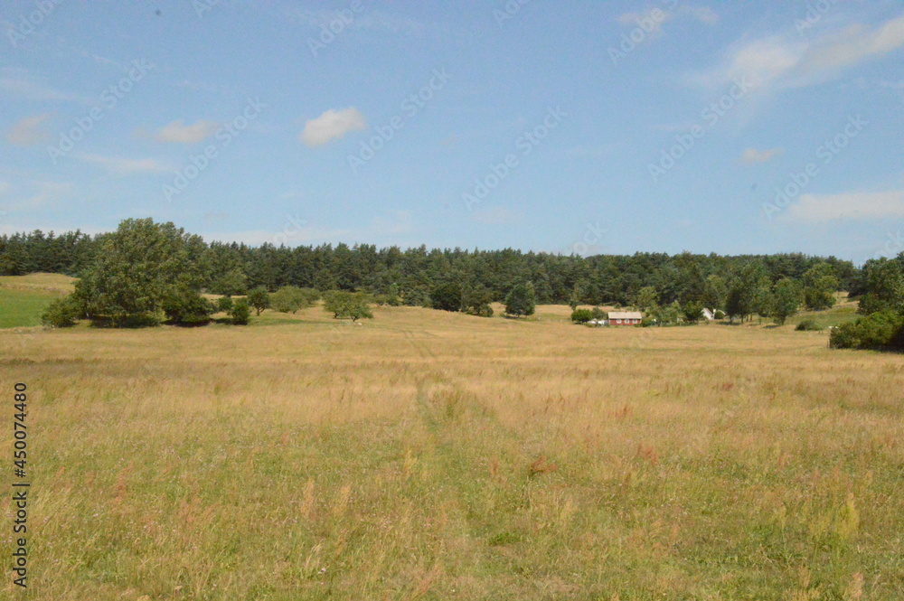 Hiking the charming old path Skåneleden in stunning scenery with grassy hills and meadows in Southern Sweden Hiking the charming old path Skåneleden in stunning scenery with grassy hills and meadows in Southern Sweden