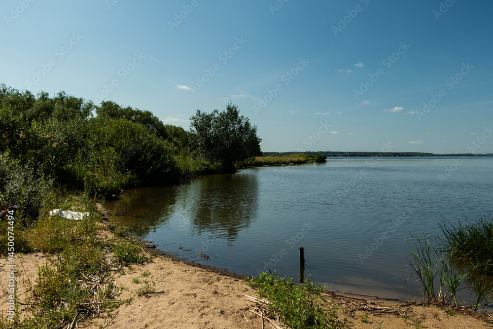 On the sandy shore of the lake grows a tree.