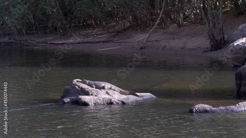 view from a cruise boat of a freshwater crocodile sunning itself on a rock at nitmiluk gorge of nitmiluk national park in the northern territory, australia photo
