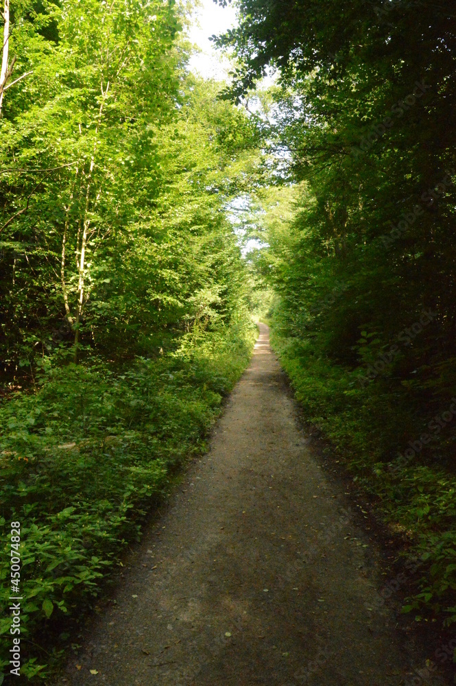 Hiking the charming old path Skåneleden in stunning scenery with grassy hills and meadows in Southern Sweden Hiking the charming old path Skåneleden in stunning scenery with grassy hills and meadows in Southern Sweden