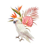 watercolor illustration of a white cockatoo bird on the background of a tropical bouquet of flowers, hand painted