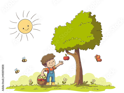 Boy picking apples. Vector illustration in modern cartoon style.  (ID: 450076858)
