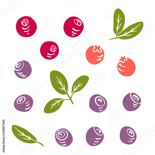 Set of wild berries: blueberry, lingonberry, cranberry. Colorful paper cut collection of fruits and berries isolated on white background. Doodle hand drawn fruits. Vector illustration