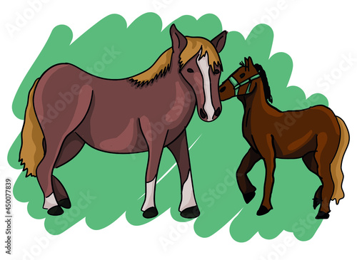 Colored vector illustration - horse mare and her foal